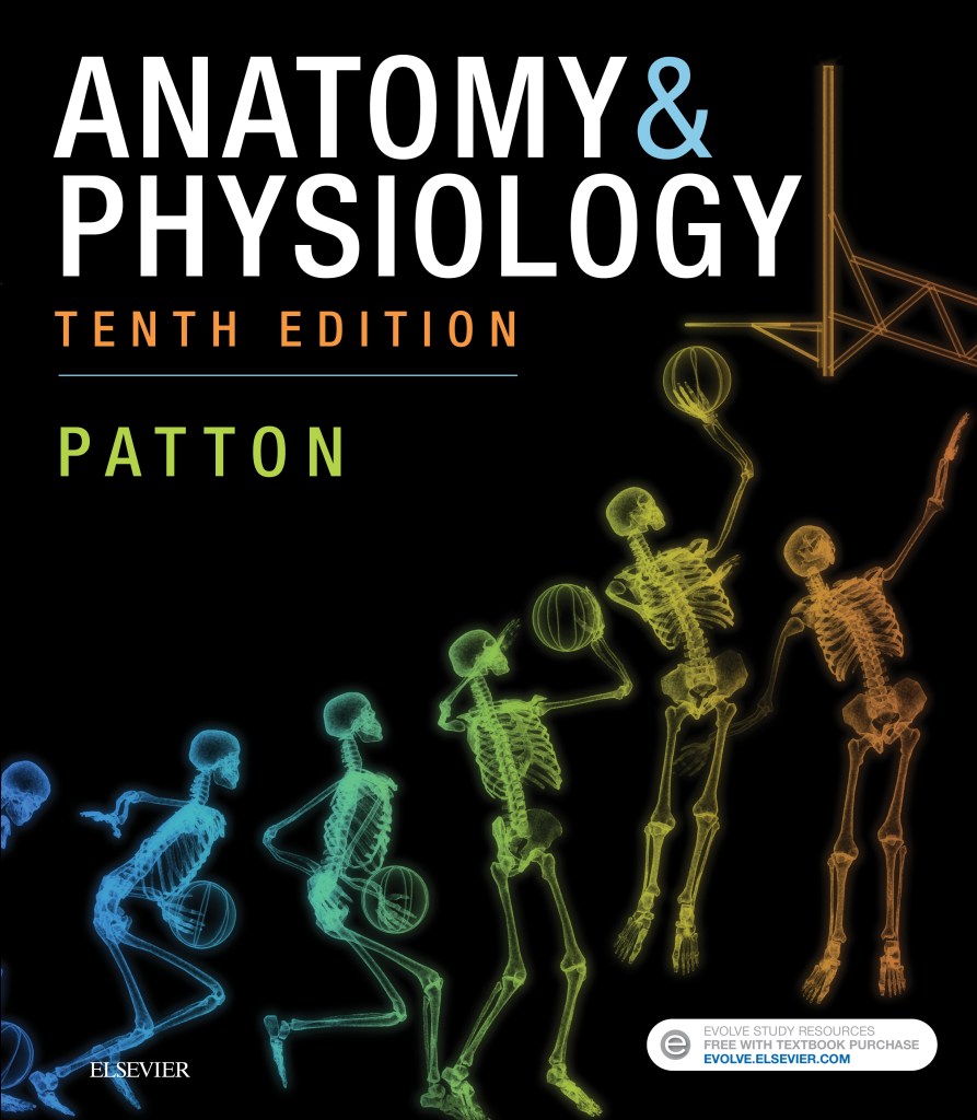 
Anatomy & Physiology - Elsevier E-Book on VitalSource (includes A&P Online course), 10th Edition
