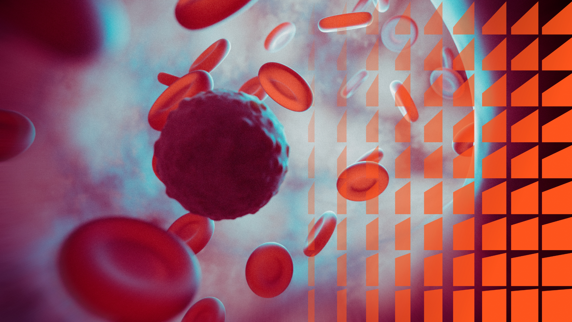 Lernplan für die M3