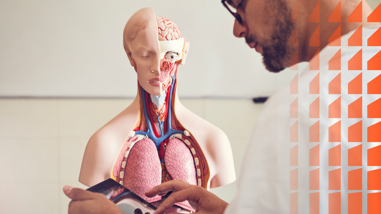 Game Changing tips for Studying Anatomy 