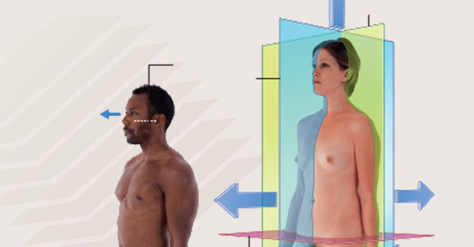 The anatomical position