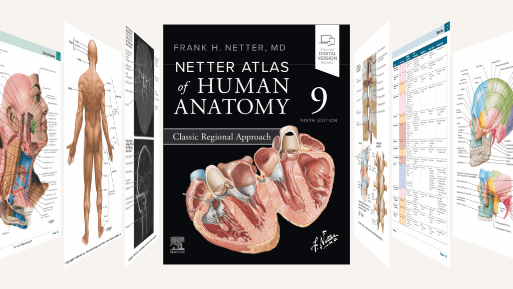 Introducing Netter’s Anatomy New Editions