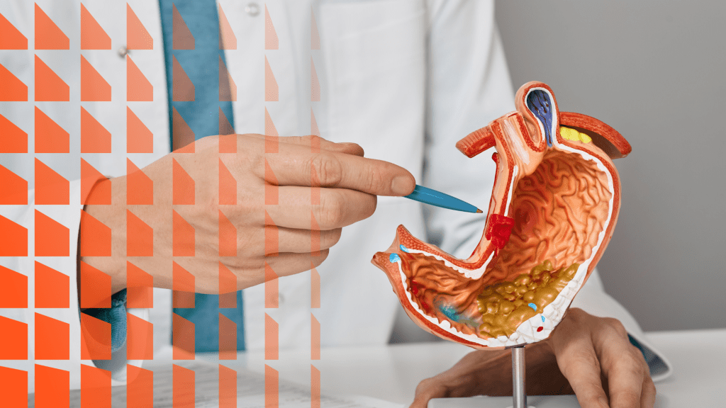 Estructura y tipos celulares de la mucosa gástrica