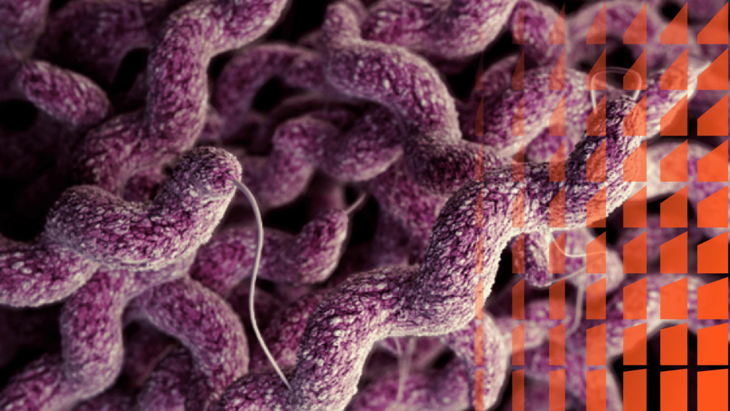 Cinco historias médicas de terror