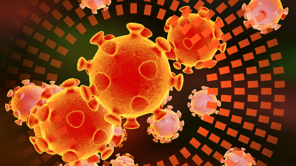 Células de la respuesta inmunitaria