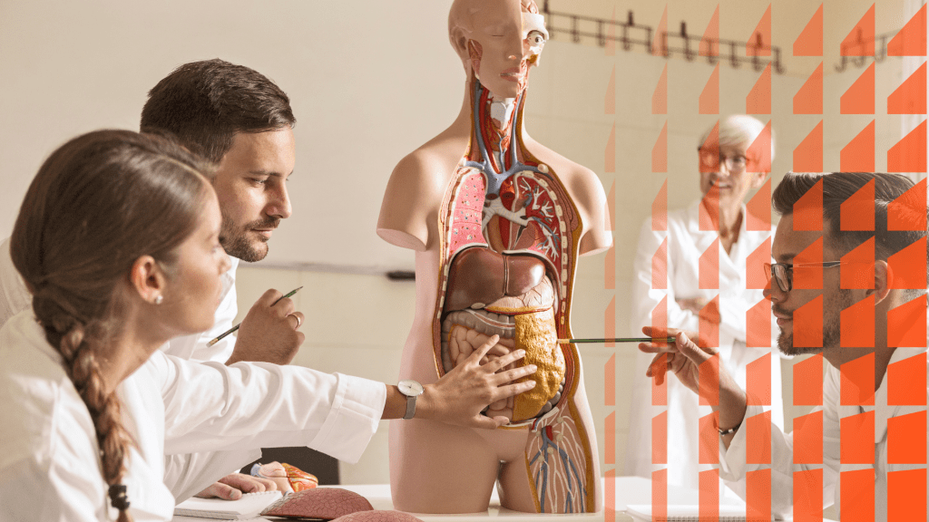 Seminario formativo: Anatomía topográfica con aplicación médico-quirúrgica