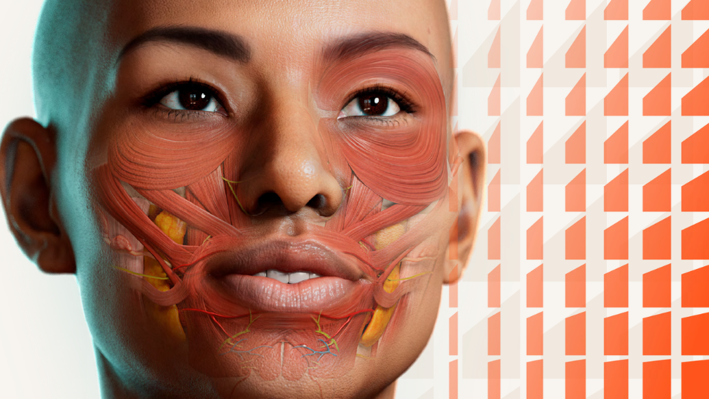 Copa Iberoamericana de Anatomía (4.ª edición): anatomía en modo pedagógico, activo y para todo el mundo
